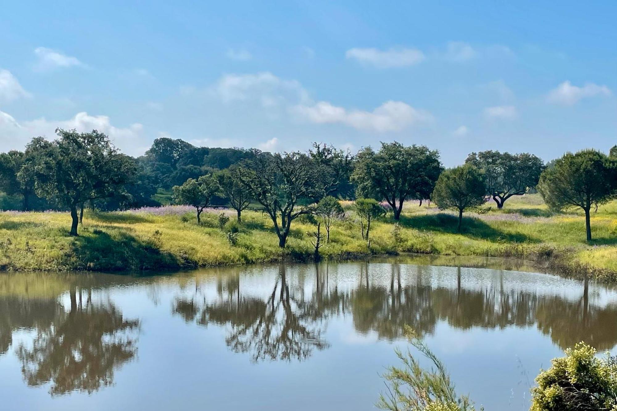 Sesmarias Dos Nobres Villa Azinheira dos Barros Bagian luar foto