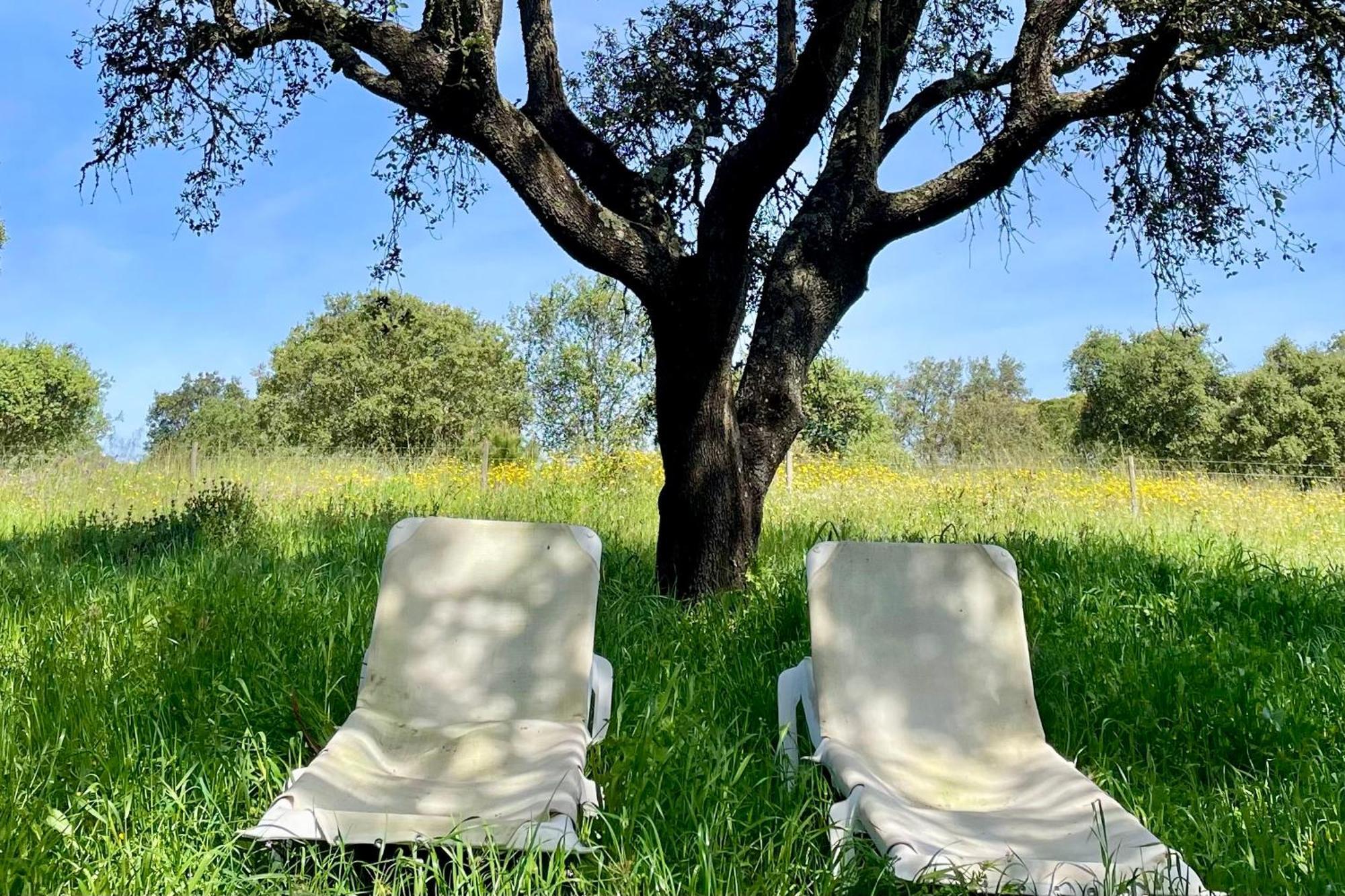 Sesmarias Dos Nobres Villa Azinheira dos Barros Bagian luar foto