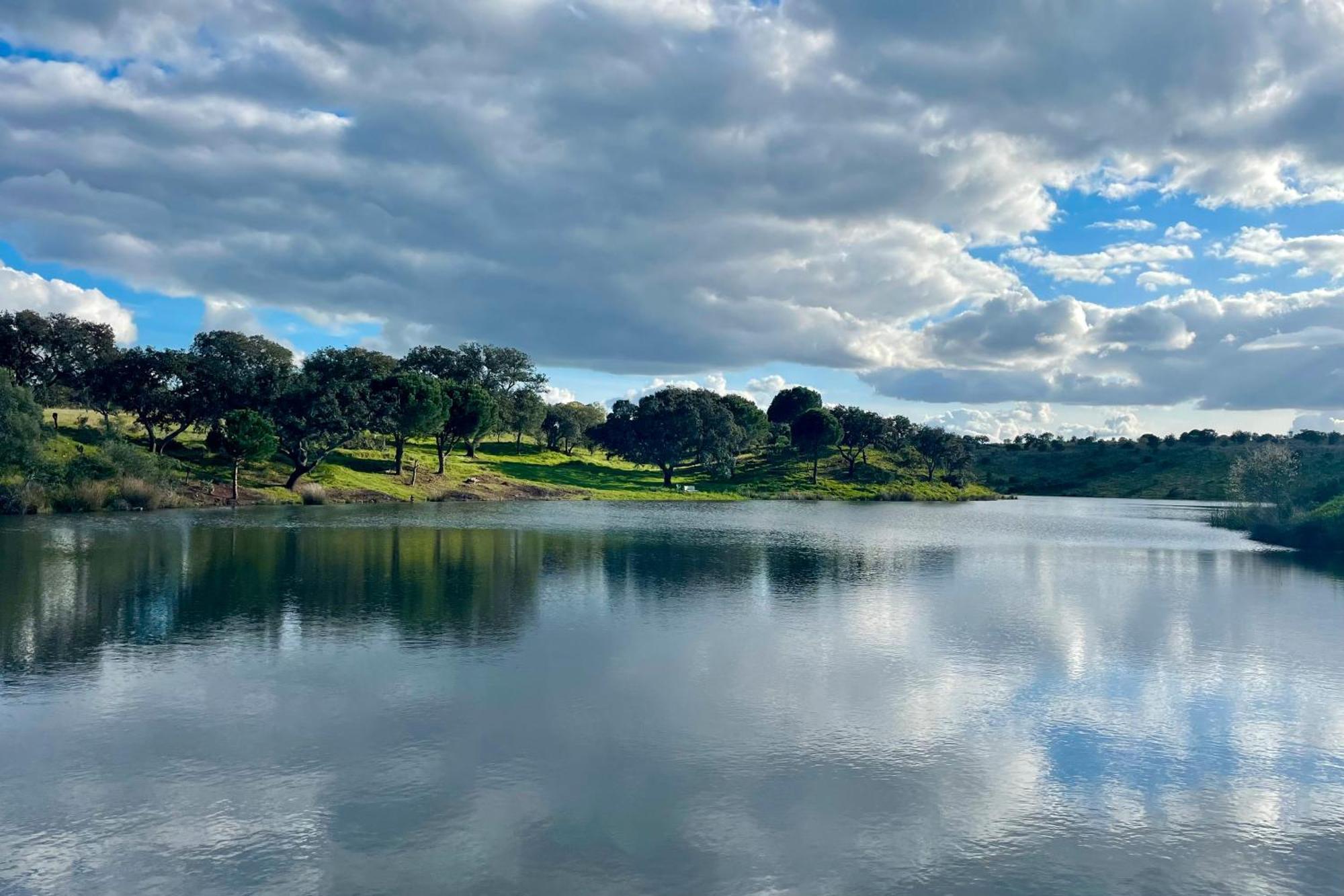 Sesmarias Dos Nobres Villa Azinheira dos Barros Bagian luar foto